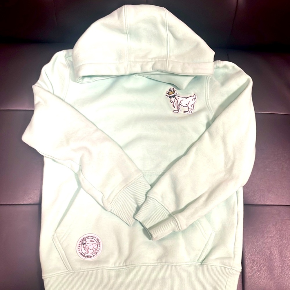 Mint green Goat USA youth small sweatshirt.
